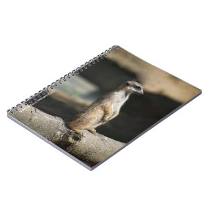 Meerkat Notebook