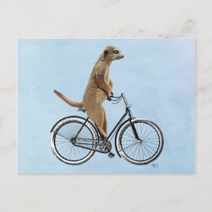 Meerkat on Bicycle 2 Postcard