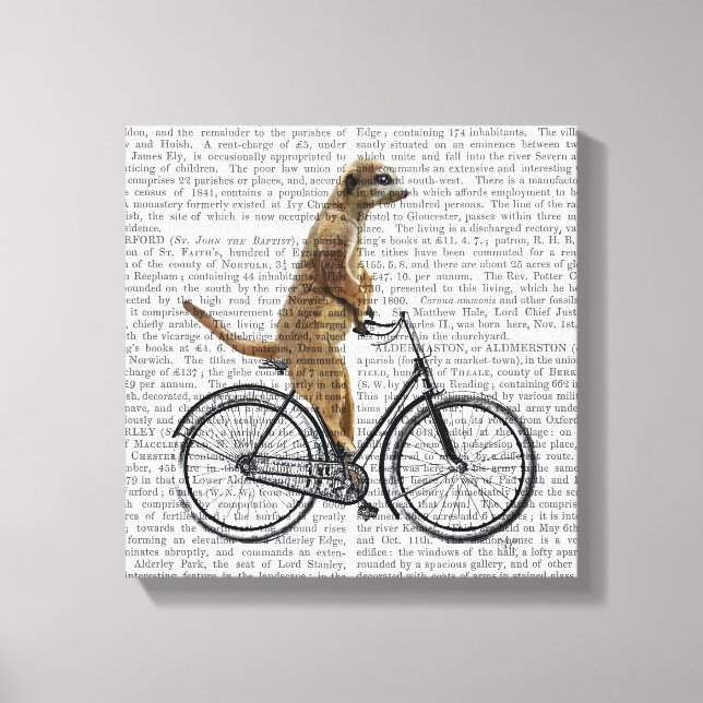 Meerkat on Bicycle Canvas Print (Front)