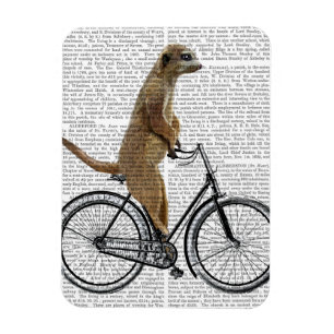 Meerkat on Bicycle Magnet