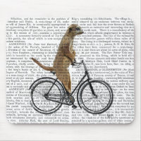 Meerkat on Bicycle