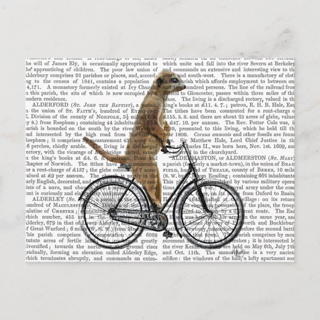Meerkat on Bicycle Postcard (Front)