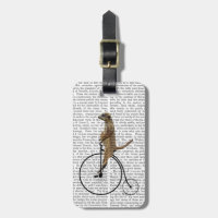 Meerkat on Black Penny Farthing