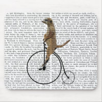Meerkat on Black Penny Farthing