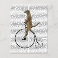 Meerkat on Black Penny Farthing