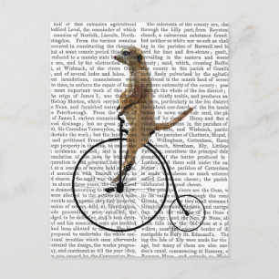 Meerkat on Black Penny Farthing Postcard