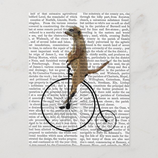 Meerkat on Black Penny Farthing Postcard (Front)