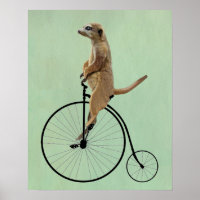 Meerkat on Black Penny Farthing