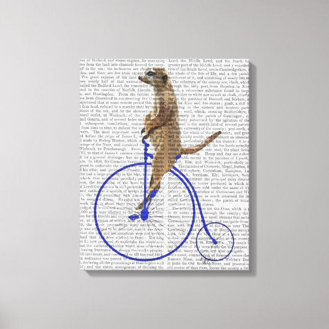 Meerkat On Blue Penny Farthing Canvas Print (Front)