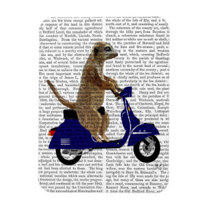 Meerkat on Dark Blue Moped Magnet
