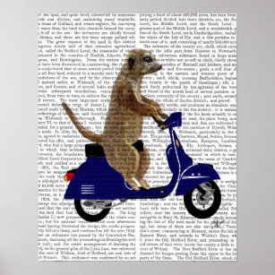 Moped Posters & Prints | Zazzle UK