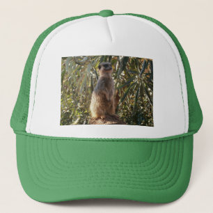 Meerkat On Guard Duty, Trucker Hat