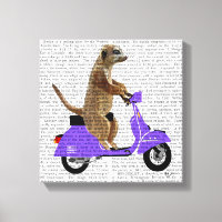 Meerkat on Lilac Moped