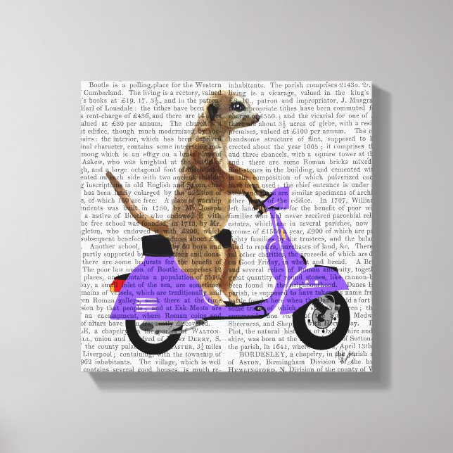 Meerkat on Lilac Moped Canvas Print (Front)