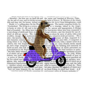 Meerkat on Lilac Moped Magnet