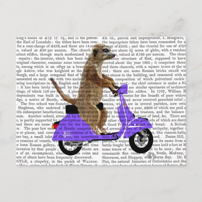 Meerkat on Lilac Moped Postcard (Front)