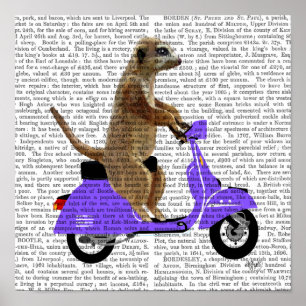 Meerkat on Lilac Moped Poster