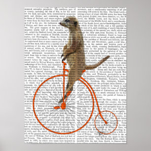 Meerkat on Orange Penny Farthing Poster