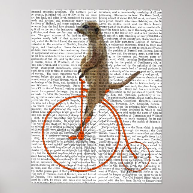 Meerkat on Orange Penny Farthing Poster (Front)