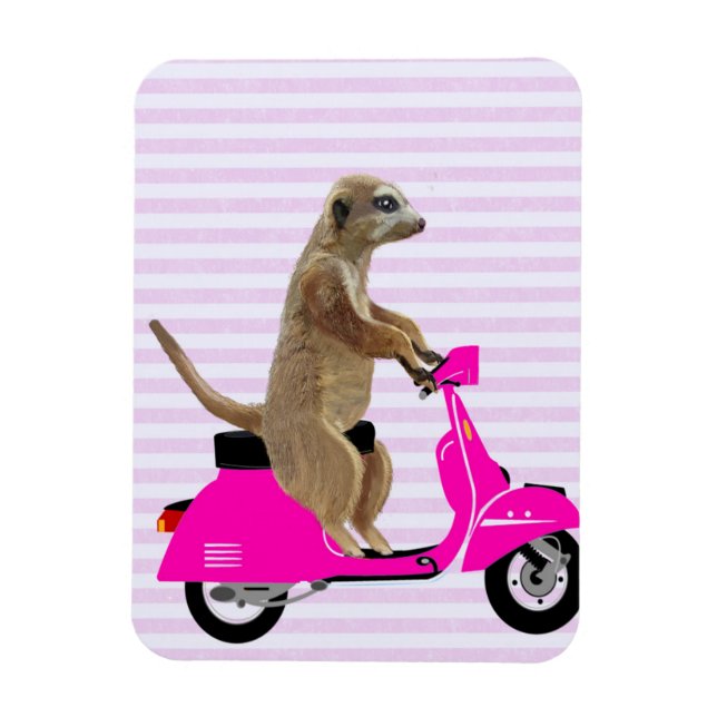 Meerkat on Pink Moped 2 Magnet (Vertical)