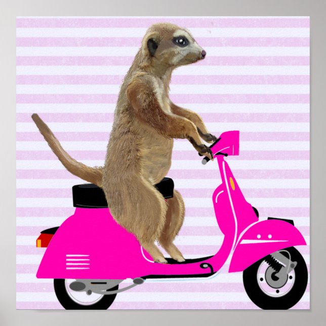 Meerkat on Pink Moped Poster (Front)