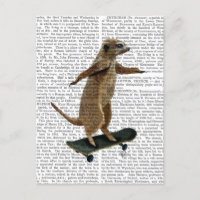 Meerkat On Skateboard 2