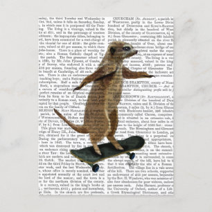 Meerkat On Skateboard 2 Postcard