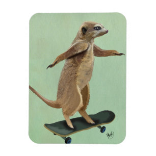 Meerkat On Skateboard 3 Magnet