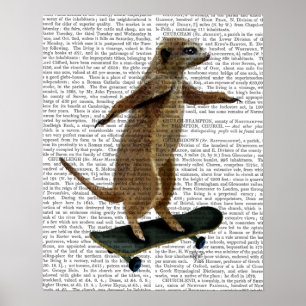 Meerkat On Skateboard Poster