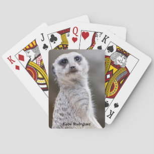Meerkat Personalised Playing Cards