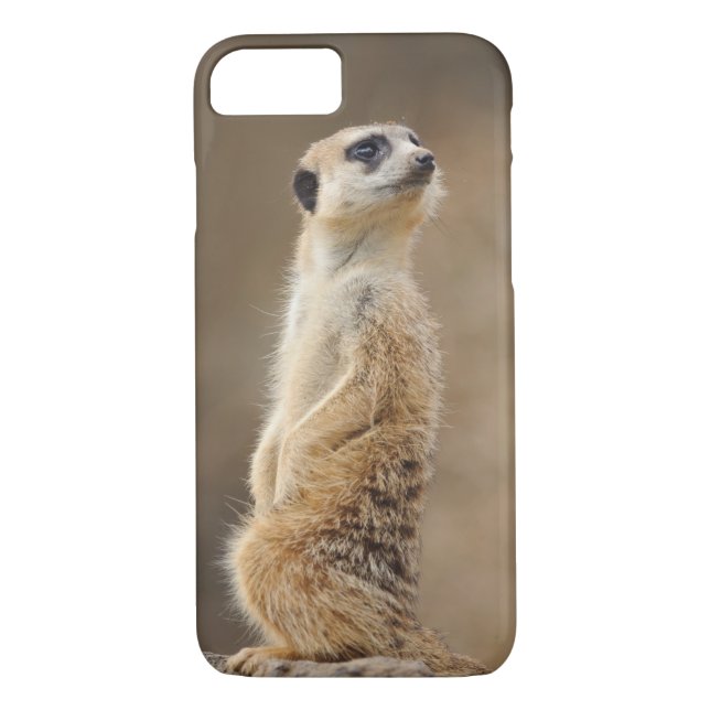Meerkat Phone Case (Back)