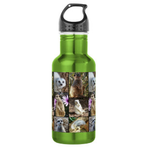 Meerkat Photo Collage, 532 Ml Water Bottle