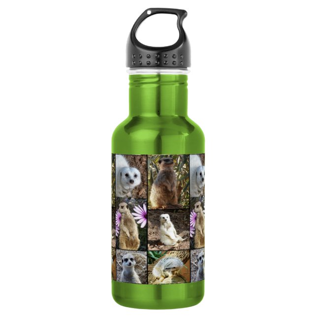 Meerkat Photo Collage, 532 Ml Water Bottle (Front)