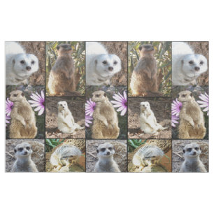 Meerkat Photo Collage Combed Cotton Material Fabric