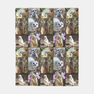 Meerkat Photo Collage, Medium Fleece Blanket. Blanket
