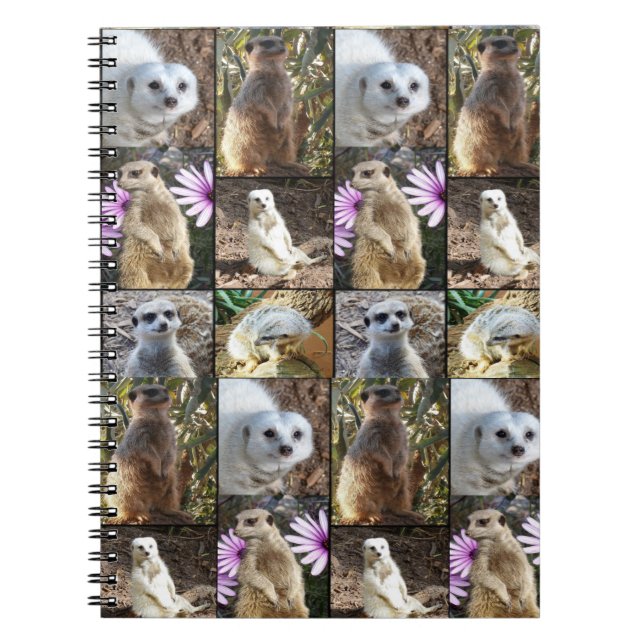 Meerkat Photo Collage, Notebook (Front)