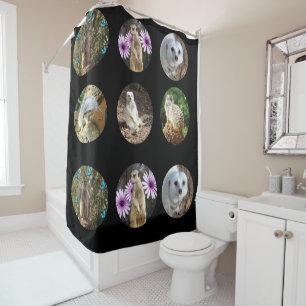 Meerkat_Photo_Collage_Shower_Curtain Shower Curtain