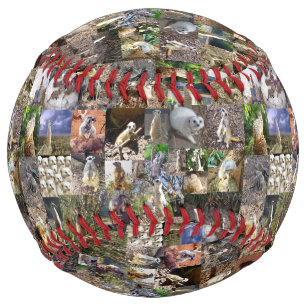 Meerkat Photo Collage, Softball