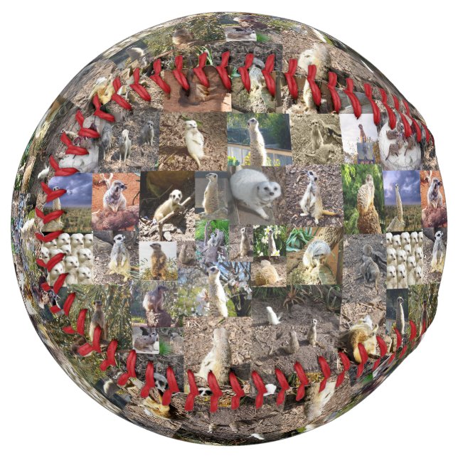 Meerkat Photo Collage, Softball (Front Left)