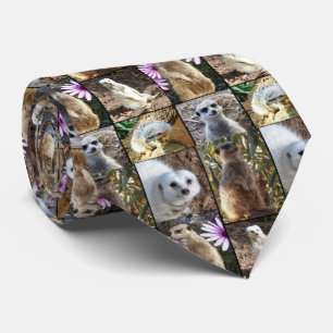 Meerkat Photo Collage, Tie