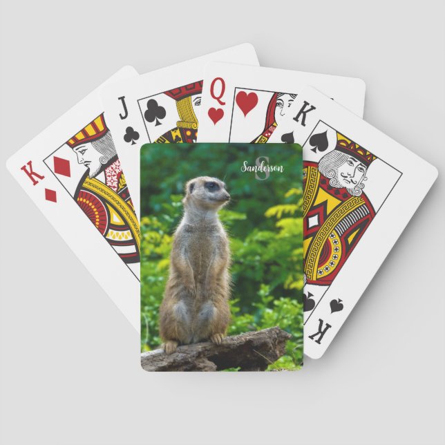 Meerkat Playing cards (Back)