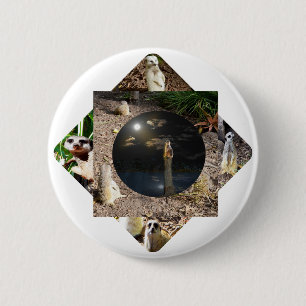 Meerkat Polyscope,  6 Cm Round Badge