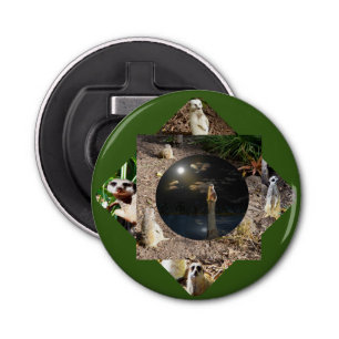 Meerkat Polyscope, Bottle Opener