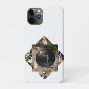 Meerkat Polyscope,  iPhone 11 Pro Case