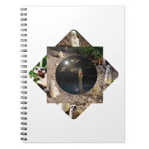 Meerkat Polyscope, Notebook
