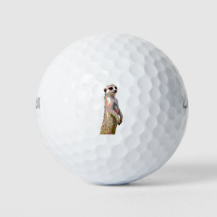 Meerkat - Pop Art Style & Posterised Golf Balls