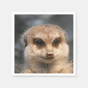 Meerkat-Portrait 002 Napkin
