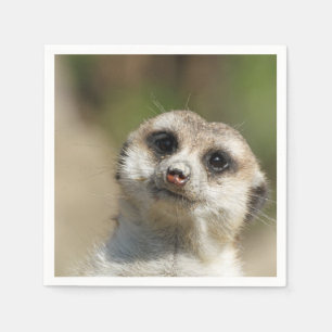 Meerkat-Portrait 003 Napkin