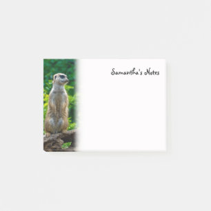 Meerkat Post-It Notes