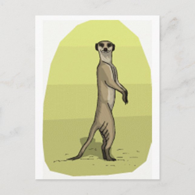 MEERKAT POSTCARD (Front)